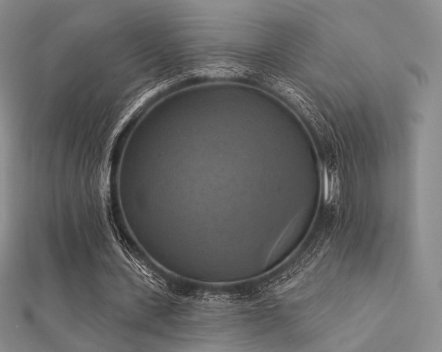 X0000112030531200908101341