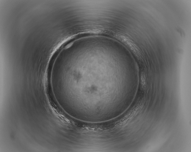 X0000112030532200908101341
