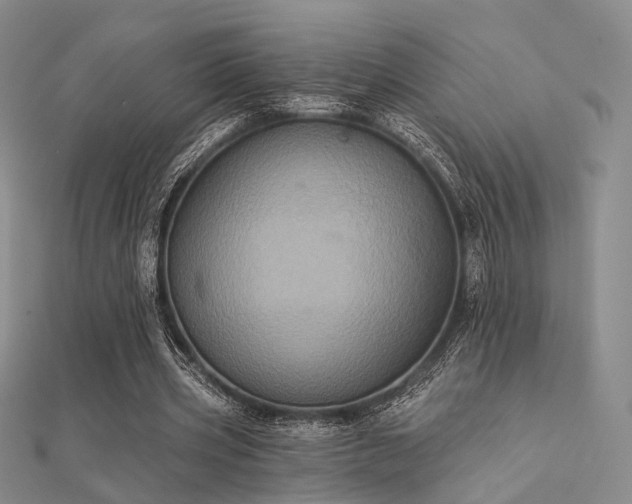 X0000112030533200908101341