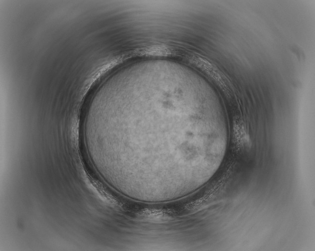 X0000112030534200908101341