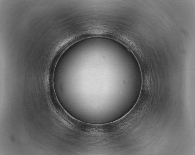 X0000112030535200908101341