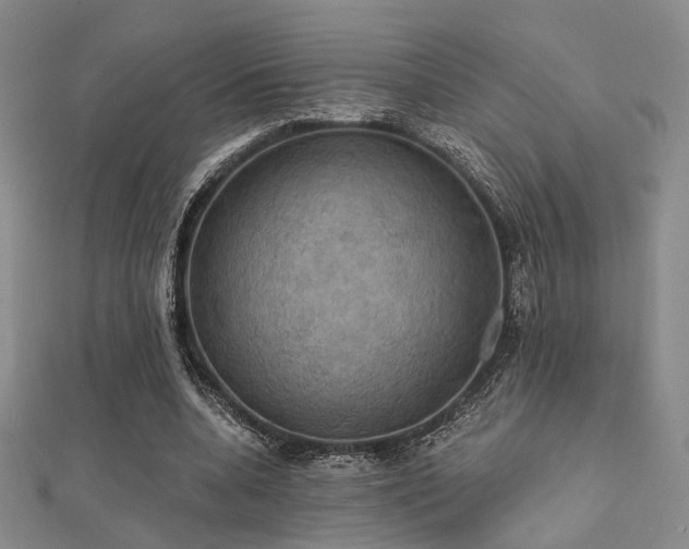 X0000112030536200908101341