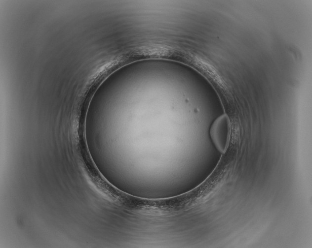 X0000112030538200908101341