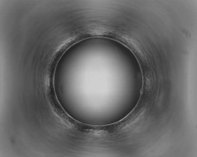 X0000112030539200908101341
