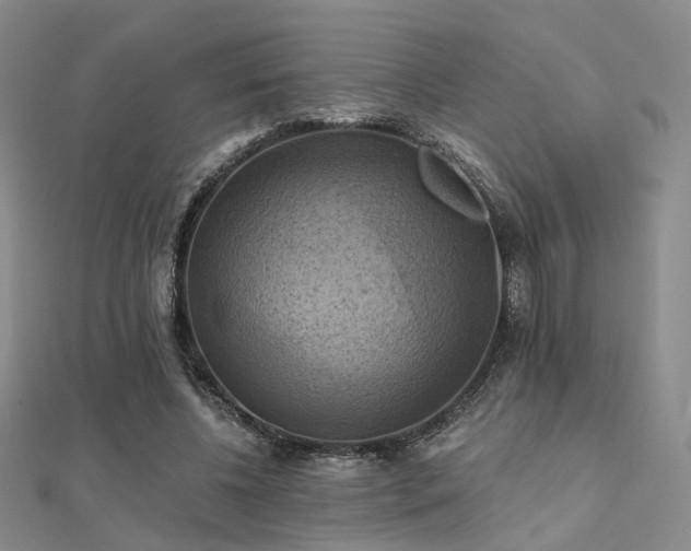 X0000112030540200908101341