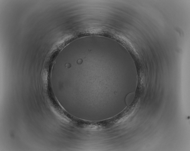 X0000112030542200908101341