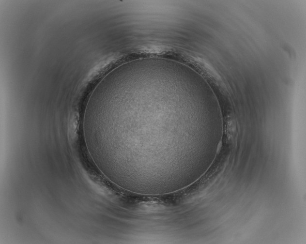 X0000112030544200908101341