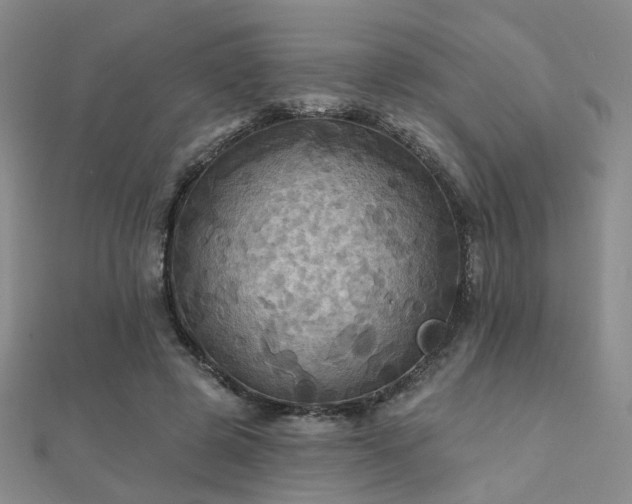 X0000112030545200908101341