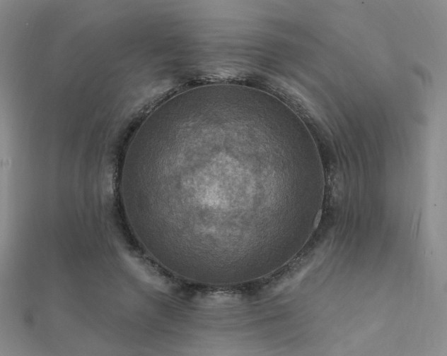 X0000112030546200908101341