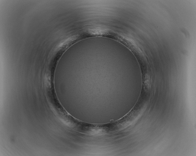 X0000112030547200908101341