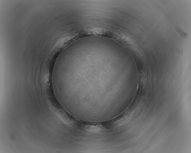 X0000112030548200908101341