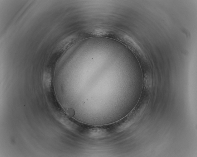 X0000112030549200908101341