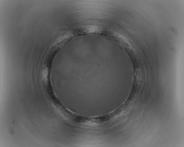 X0000112030550200908101341