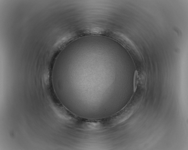 X0000112030552200908101341