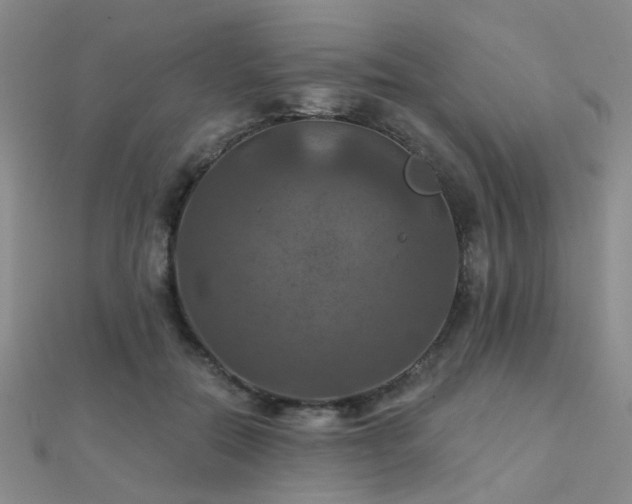 X0000112030554200908101341