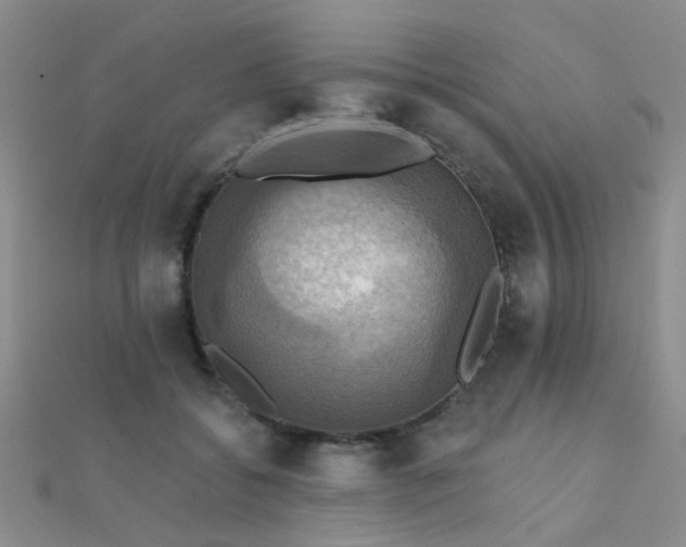 X0000112030556200908101341