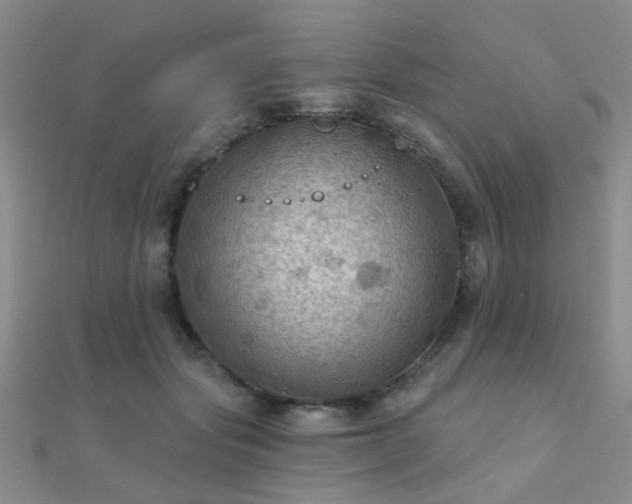 X0000112030557200908101341