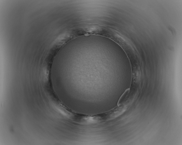 X0000112030558200908101341