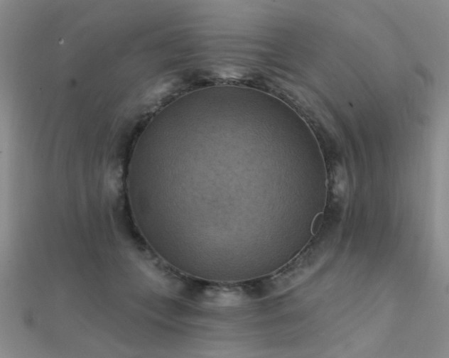 X0000112030559200908101341