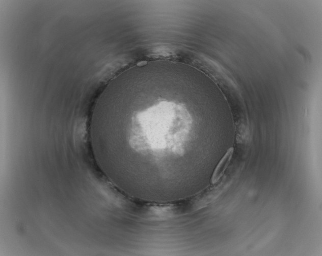 X0000112030560200908101341