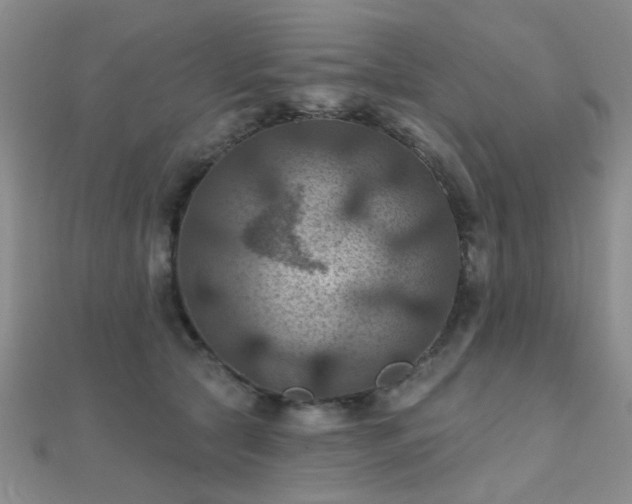 X0000112030561200908101341