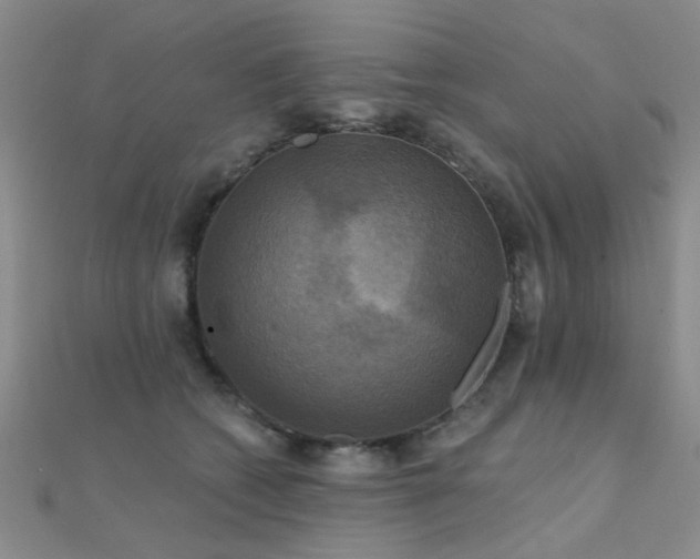 X0000112030562200908101341