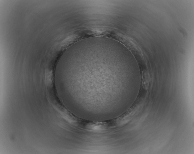 X0000112030563200908101341