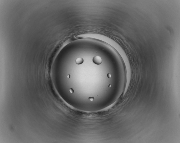 X0000112030564200908101341