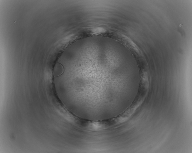 X0000112030565200908101341
