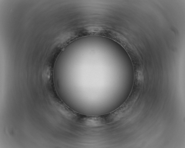 X0000112030567200908101341
