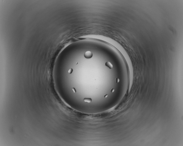 X0000112030568200908101341
