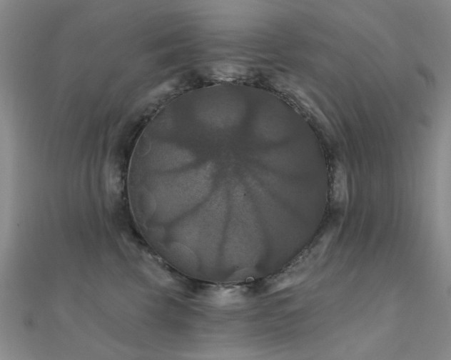 X0000112030569200908101341