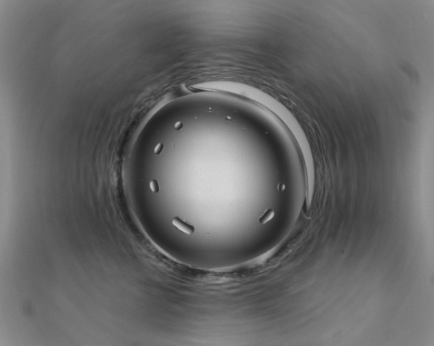 X0000112030570200908101341