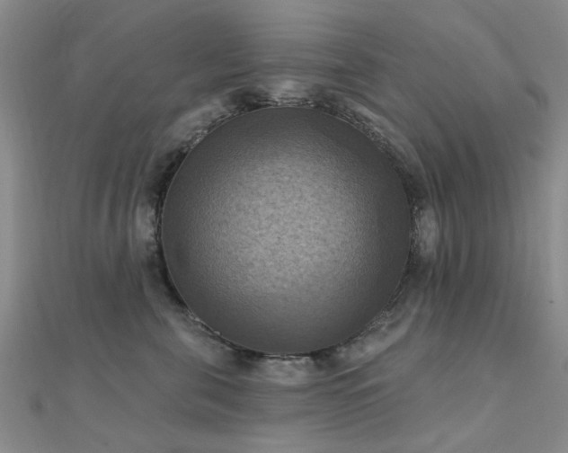 X0000112030571200908101341