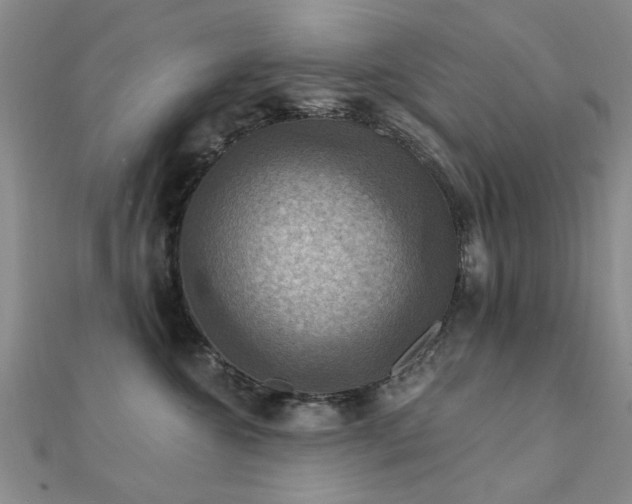 X0000112030572200908101341