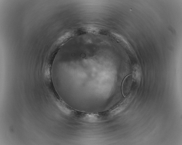 X0000112030573200908101341