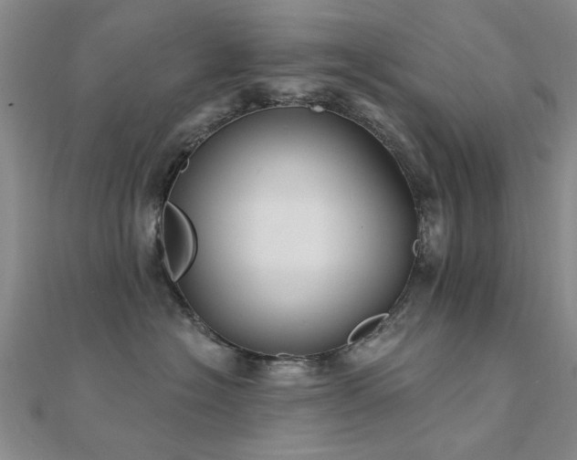 X0000112030574200908101341