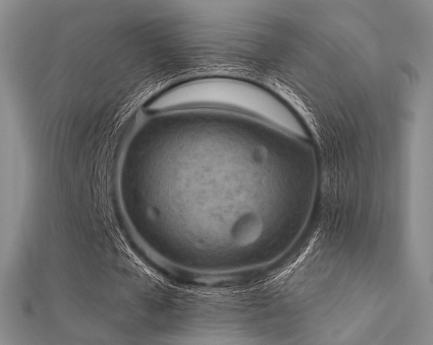 X0000112030577200908101341