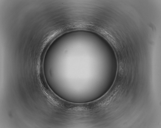 X0000112030578200908101341