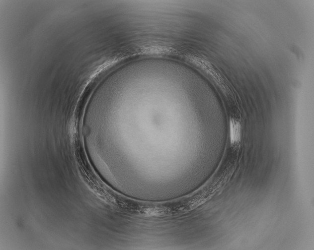 X0000112030579200908101341