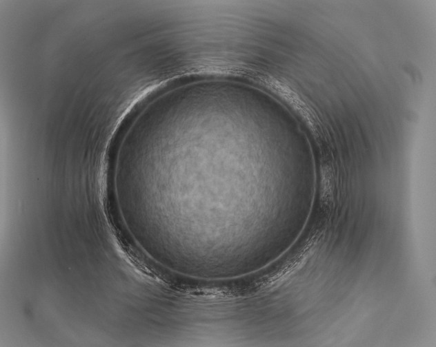 X0000112030580200908101341