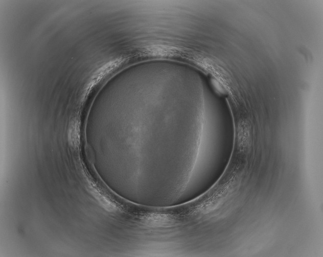 X0000112030581200908101341