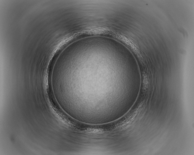 X0000112030582200908101341