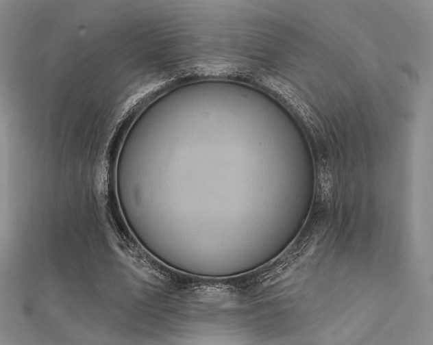 X0000112030583200908101341