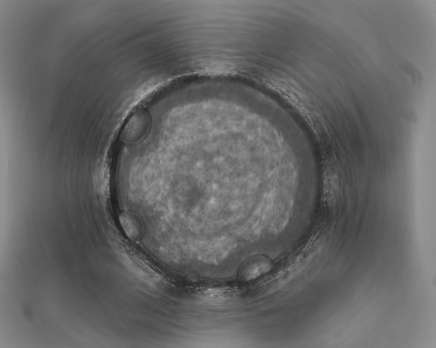 X0000112030584200908101341