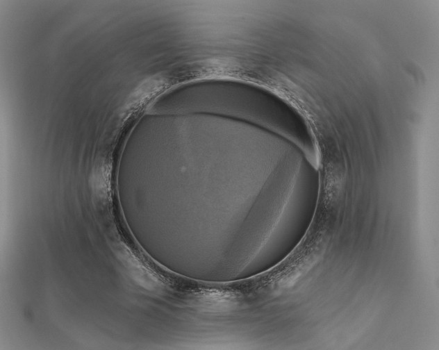 X0000112030585200908101341