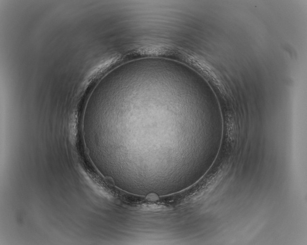 X0000112030586200908101341