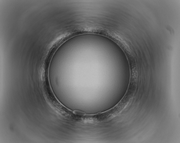 X0000112030587200908101341