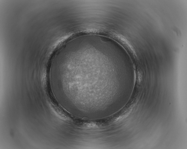 X0000112030588200908101341
