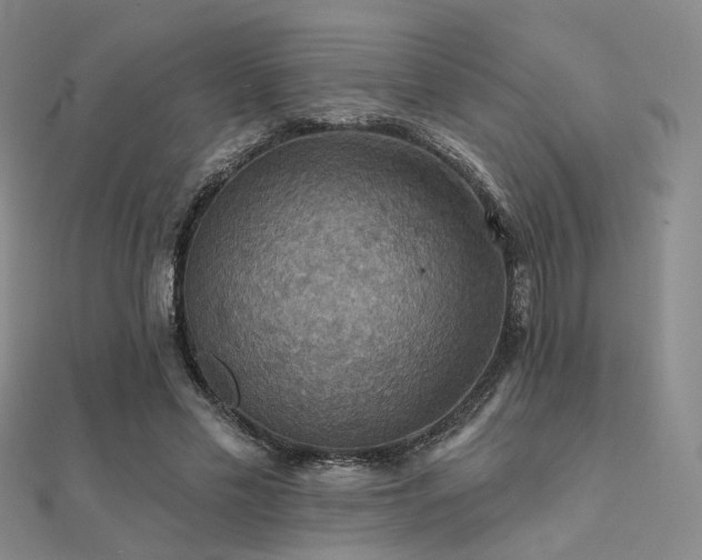 X0000112030589200908101341